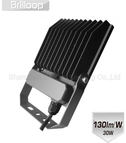 F17.C - Quality Floodlight